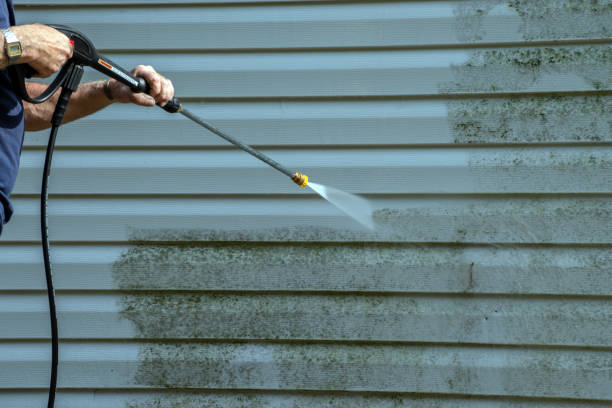 Best Roof Pressure Washing  in Nowthen, MN
